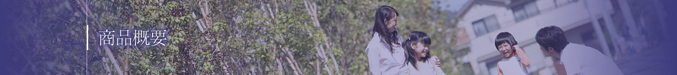 商品概要